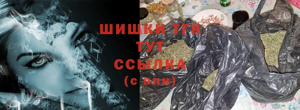 шишки Армянск