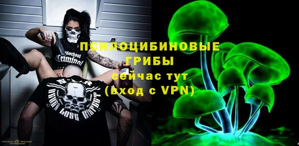 шишки Армянск