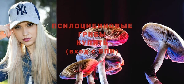 шишки Армянск