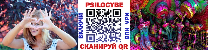 Купить закладки  Верхний Уфалей  Галлюциногенные грибы Psilocybine cubensis 