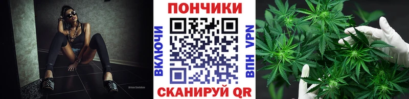 Купить  Верхний Уфалей  Канабис план 